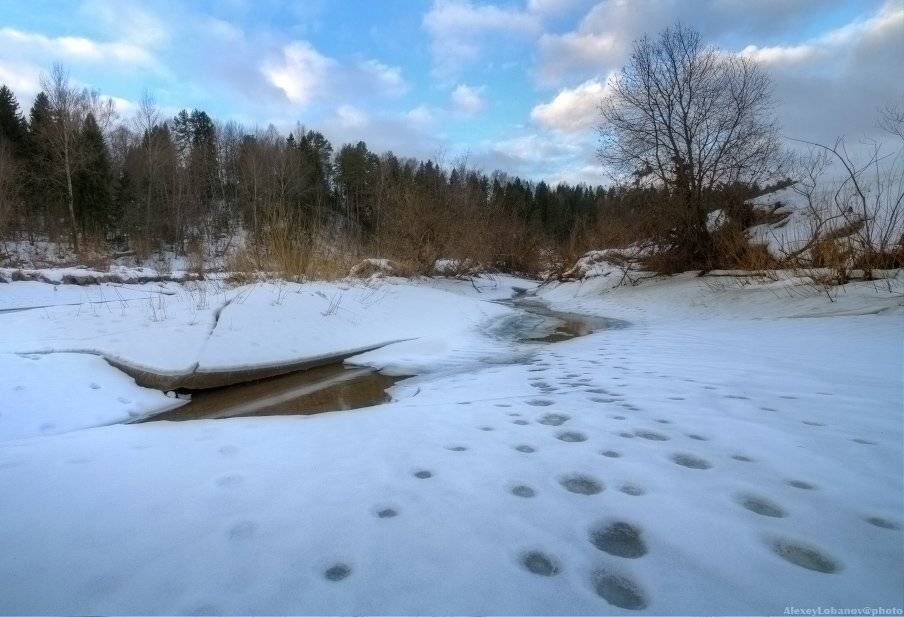 Весна, Река, Следы, Соть, Alexey Lobanov