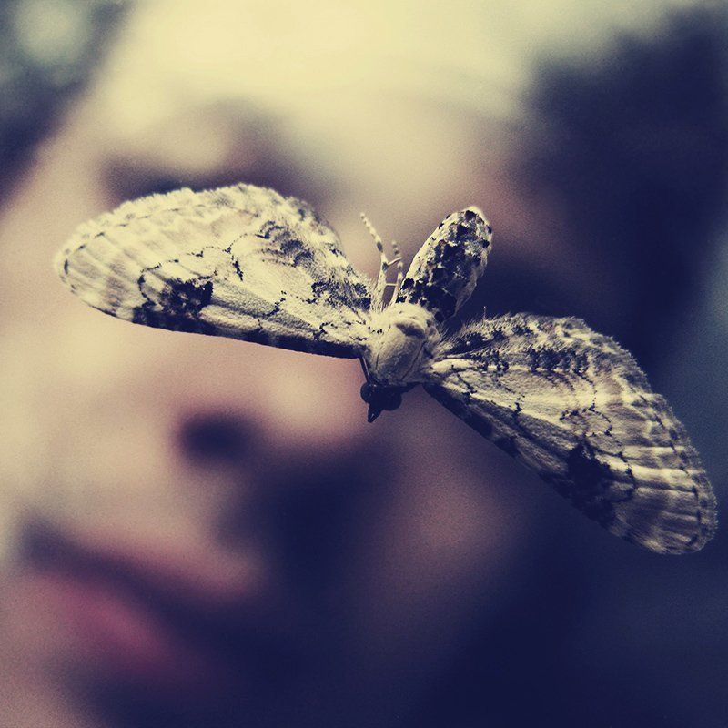 Автопортрет с мотыльком фото превью