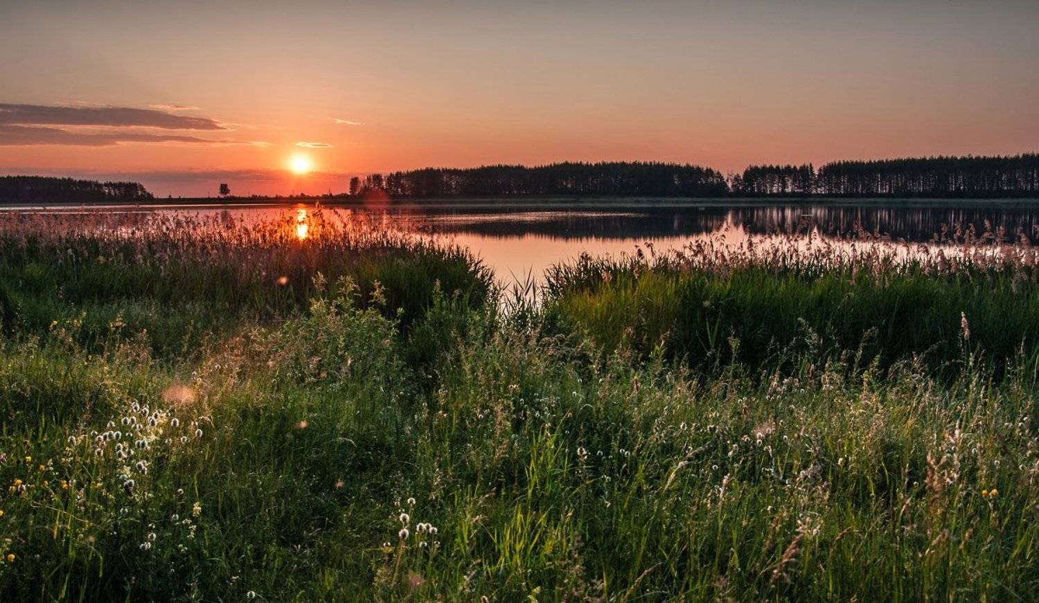 , Анатолий Зверев