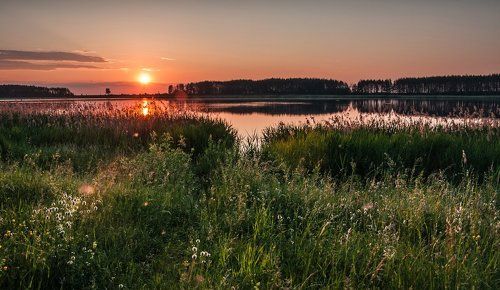 Утро нового дня