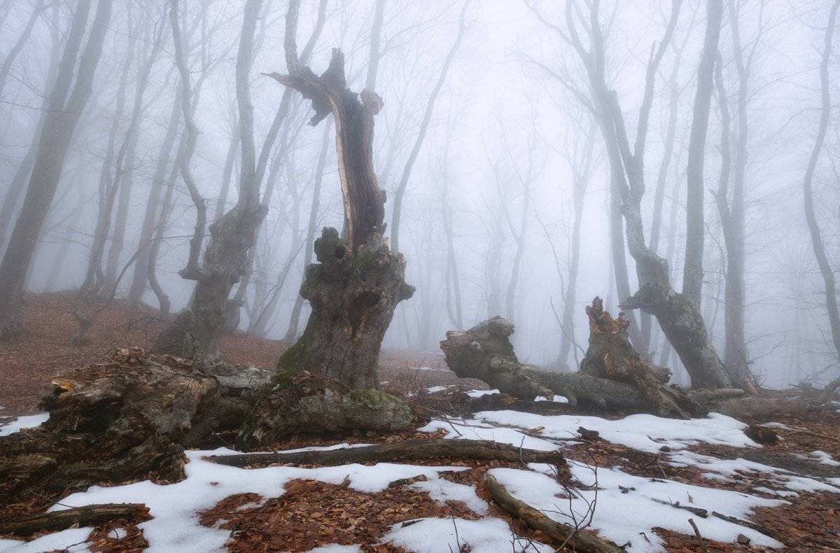 , Денис Сорокин