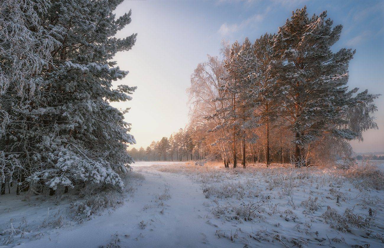 , Константин Пинигин