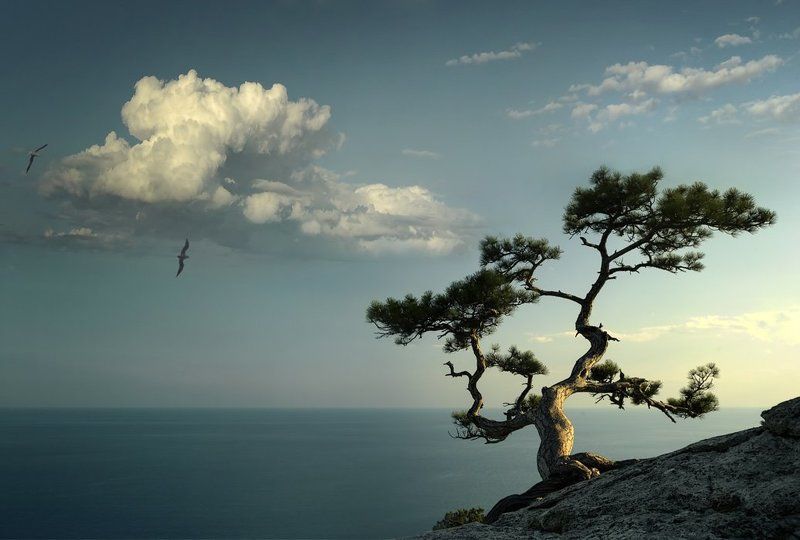 Разговор с ветром фото превью