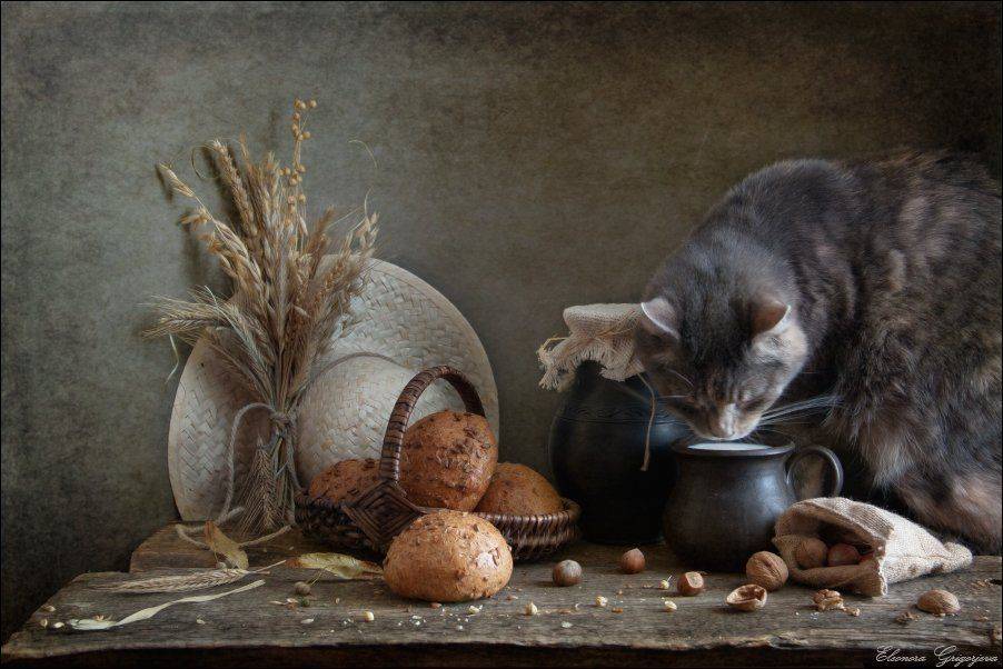 , Eleonora Grigorjeva