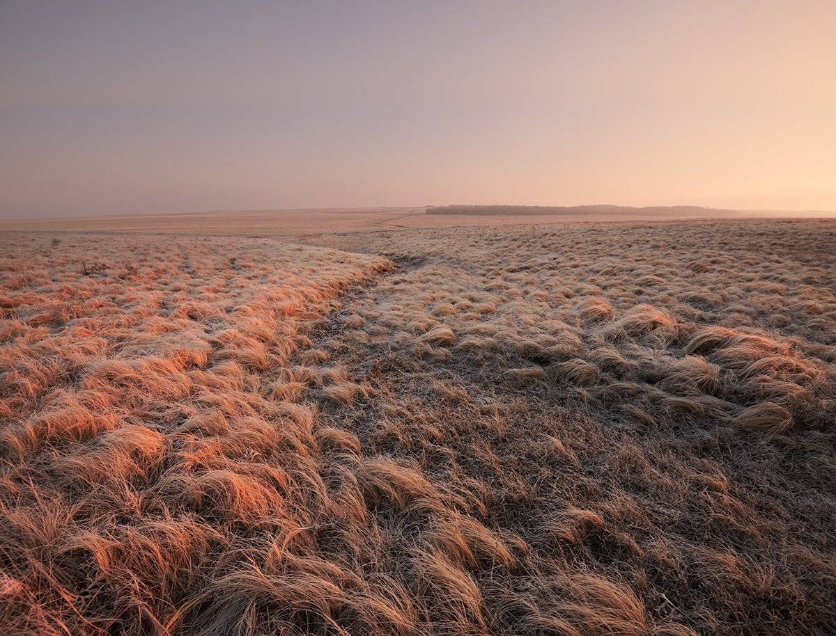 , Дeнис Бoдрoв