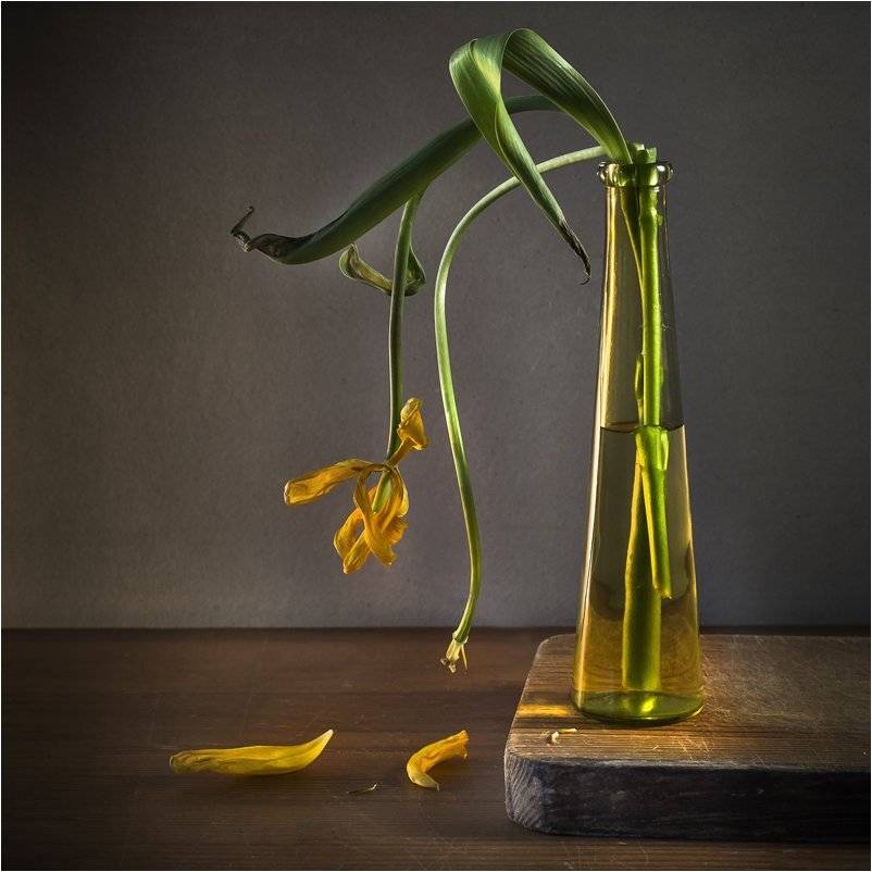 , Лев Сердюков