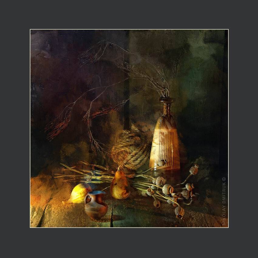 , николай дмитрук