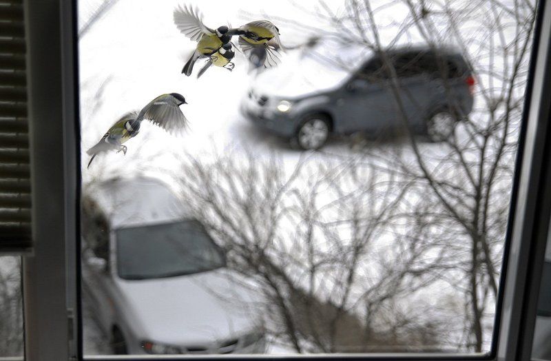 вроде шляпа, а ты так сними;) фото превью