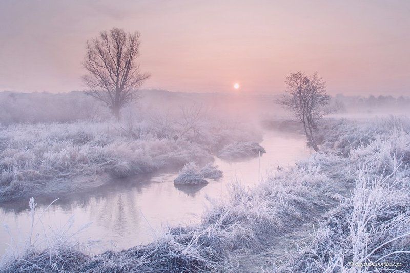 colors of the morning фото превью