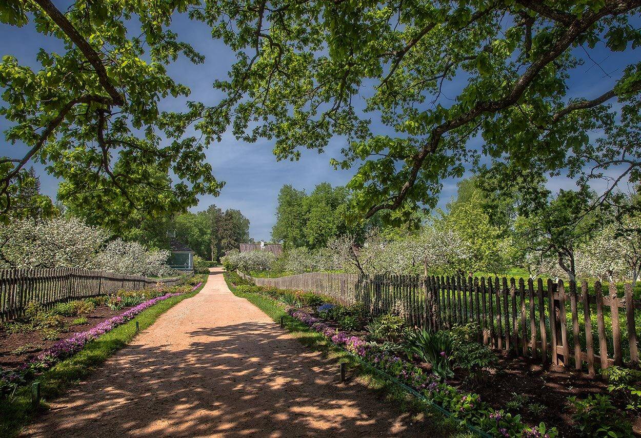 михайловское, май, Андрей Леонидович