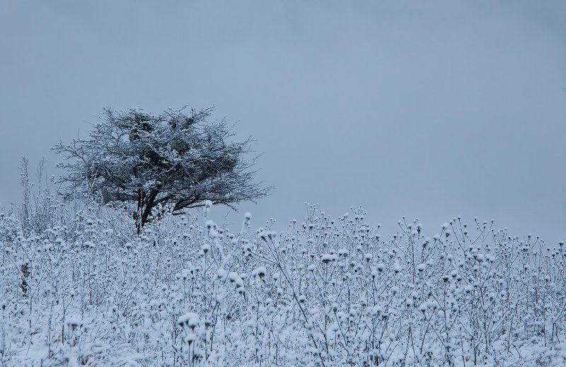 Снежный рассвет фото превью