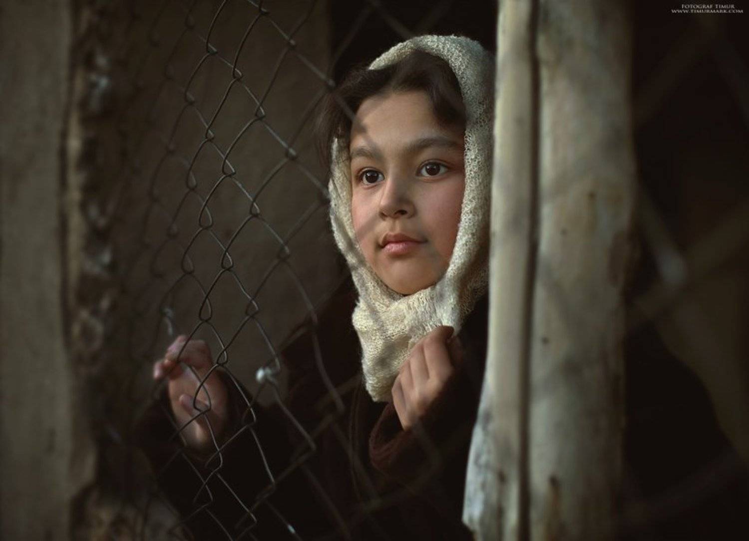 , тимур-тень