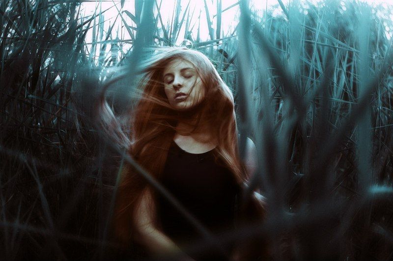 Портфолио фото превью