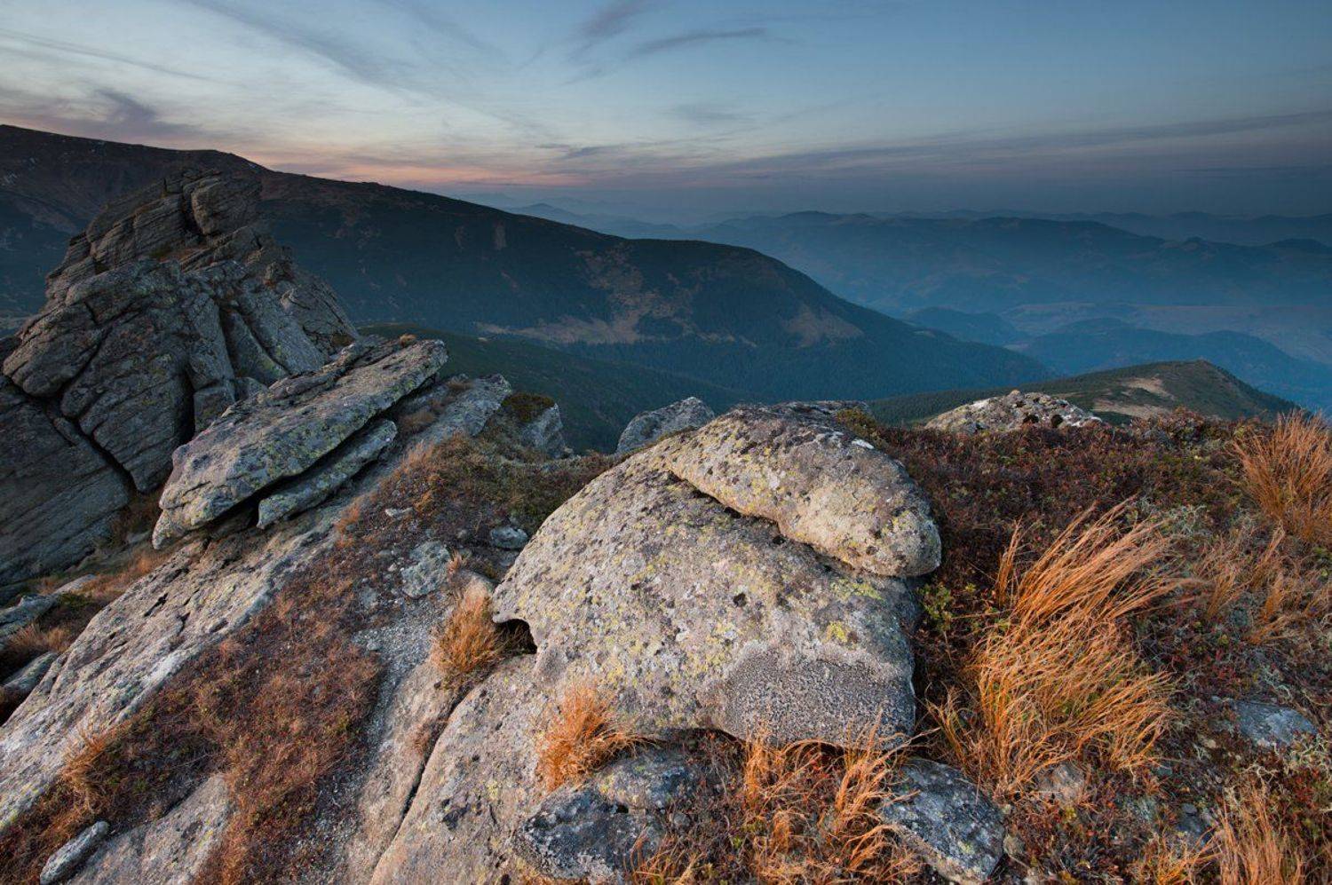 , Олег Бойко