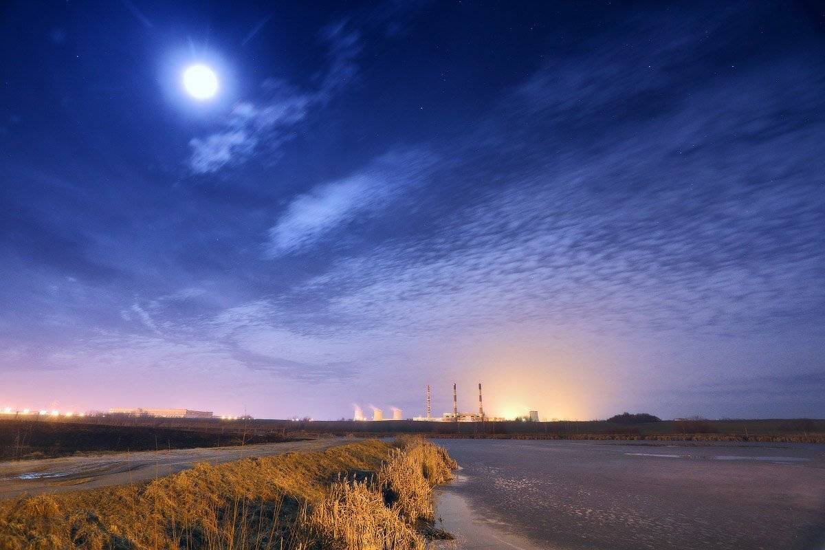 , Вейзе Максим