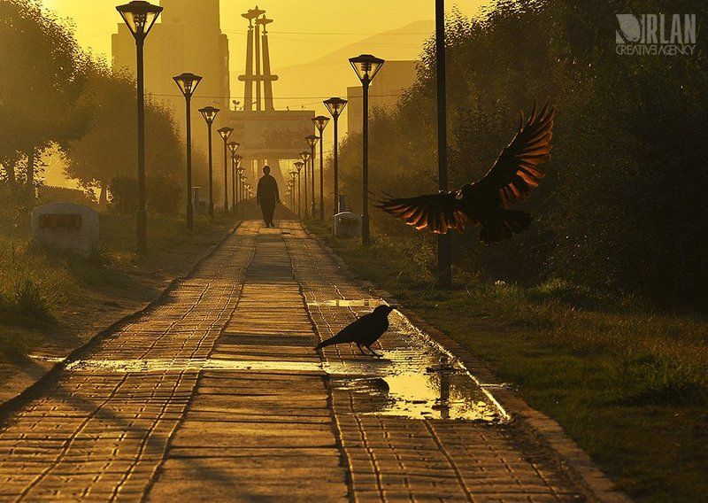 Morning фото превью