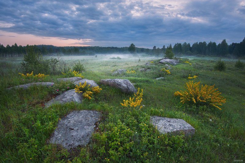 Там чудеса, там леший бродит. фото превью