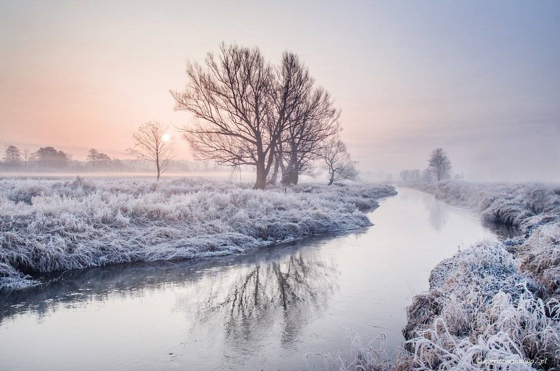 , Katarzyna Gritzmann