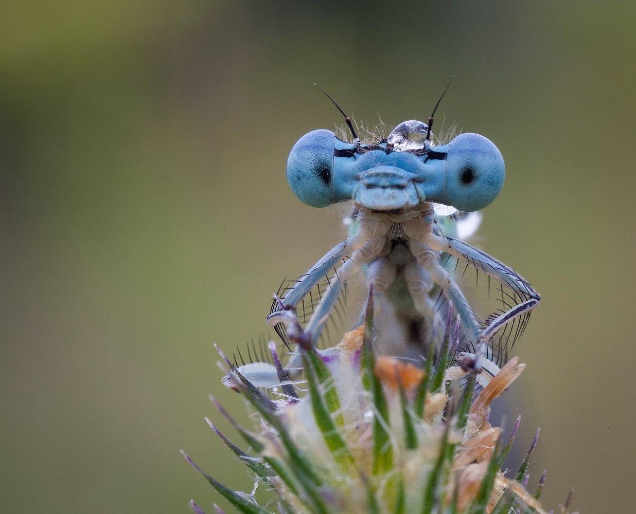 , Андрей Канышев