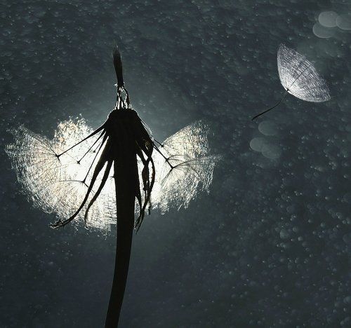 Мгновения....