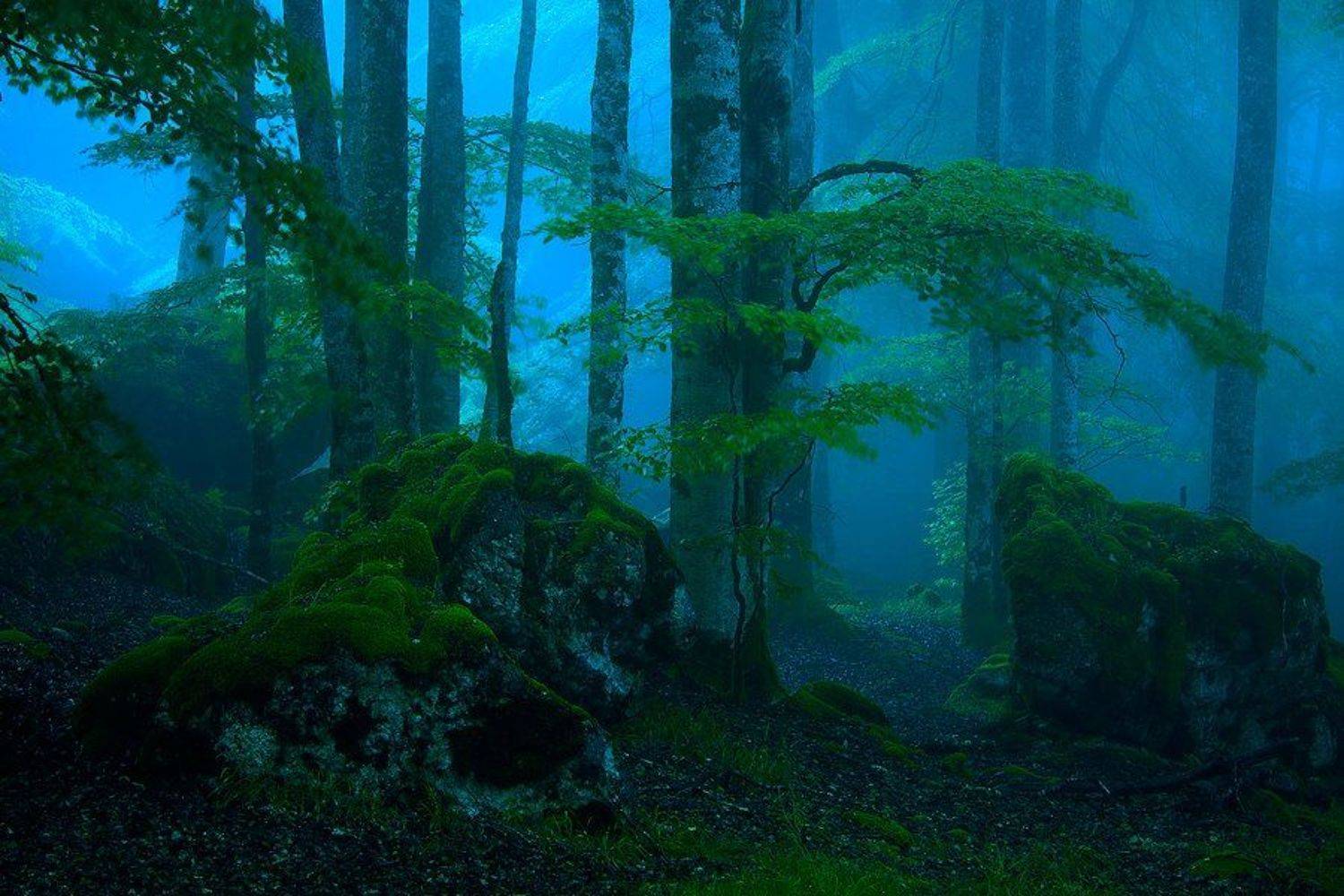 urbasa., espa&ntilde;a., Antonio Cantabrana