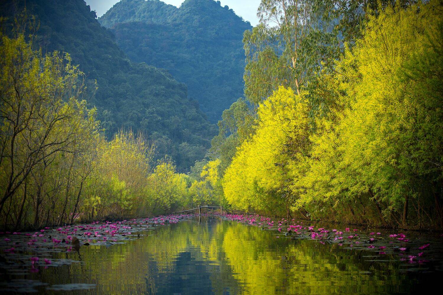 , Nguyễn Ho&agrave;ng Long