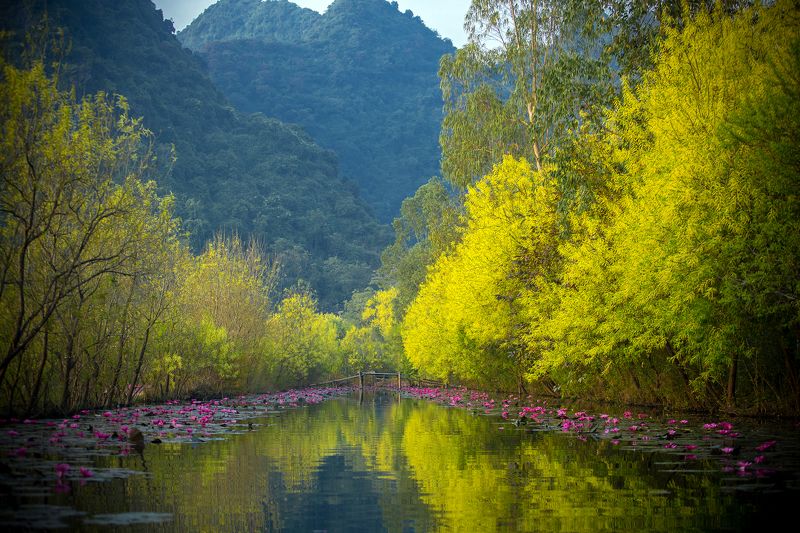 ... фото превью