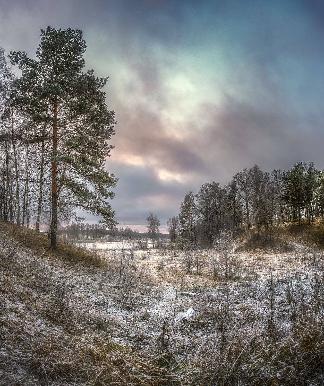 , Николай Андреев