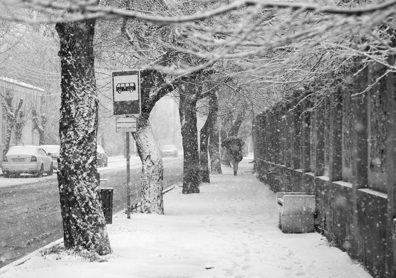 Заснежило... фото превью