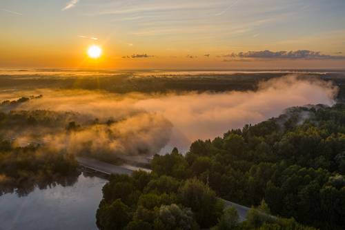 Туман на рассвете