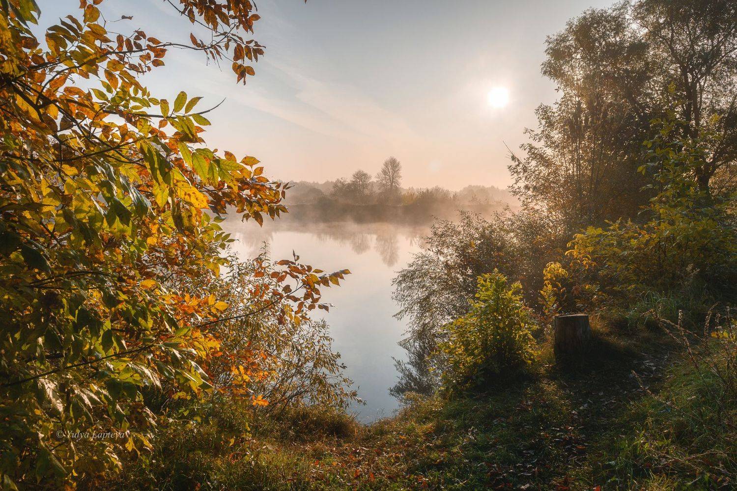 , Юлия Лаптева