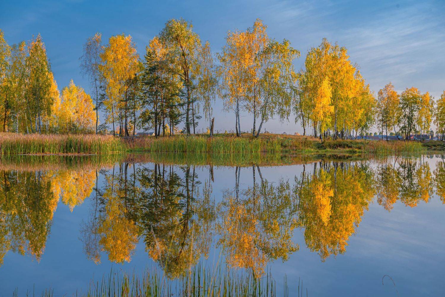 , Руслан Авдевич