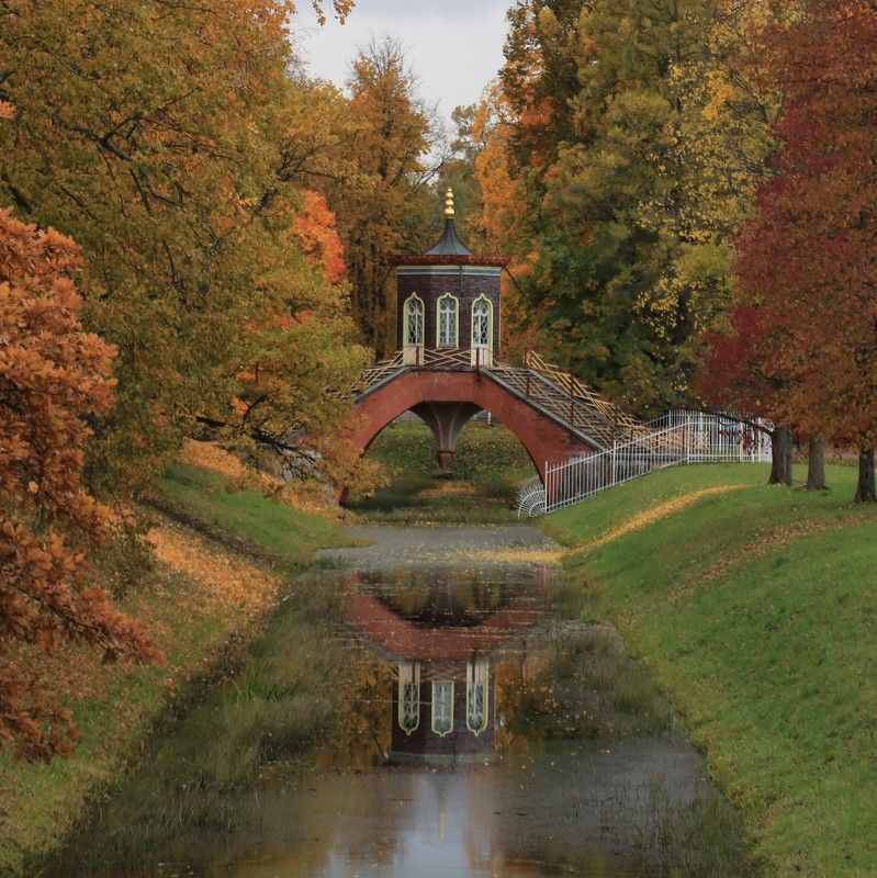 парк,осень,беседка Беседка в парке фото превью