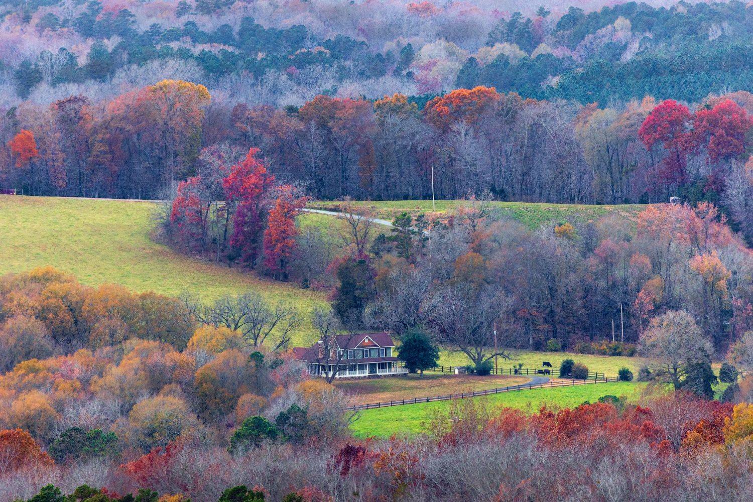 , Леонид Дьяченко