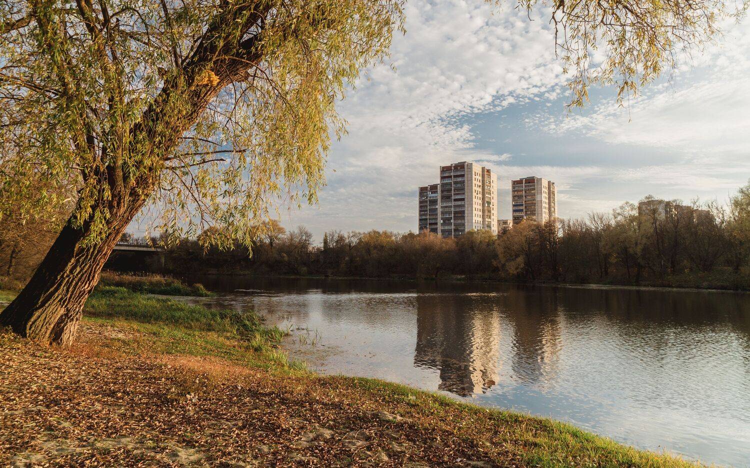 , Юрий Вертиков