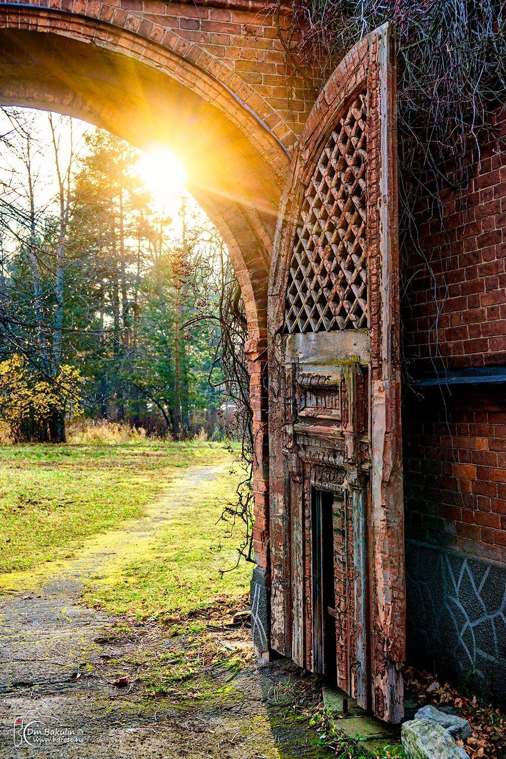 bakulind, санкт-петербург, знаменка, Дмитрий Бакулин