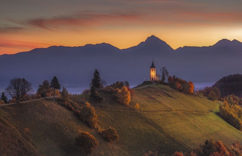 Jamnik фото превью