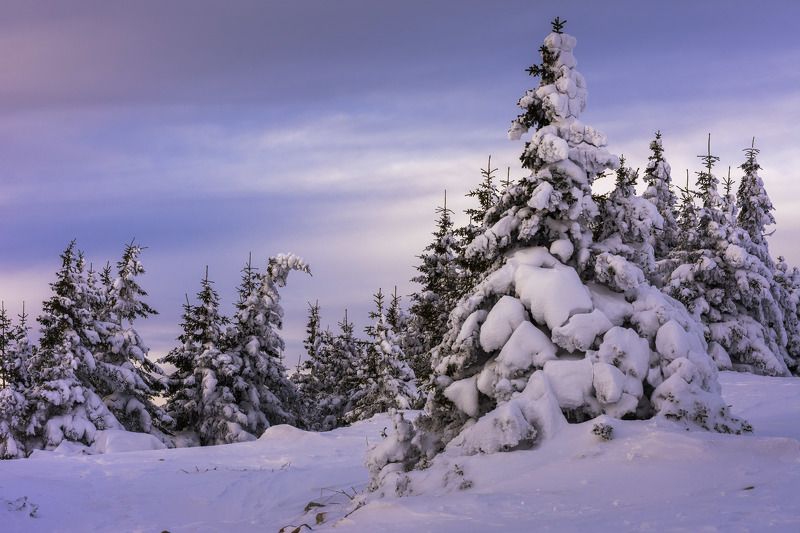 ******* фото превью