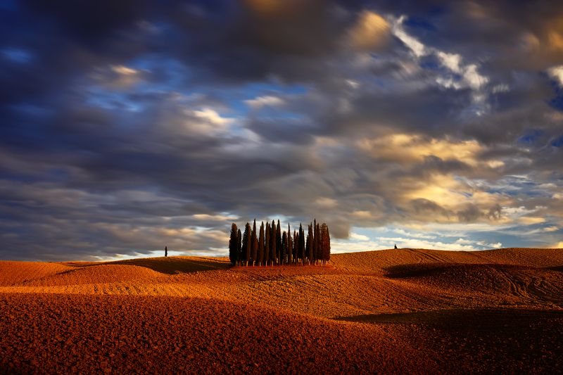 italy, tuscany, cypress, field, sunset, light, sky, evening, cloud, Cipressi фото превью