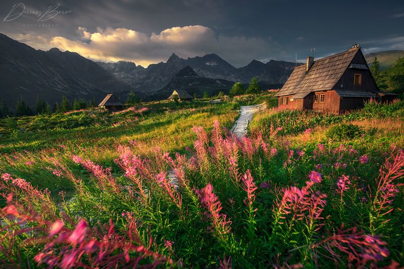 Tatra National Park фото превью