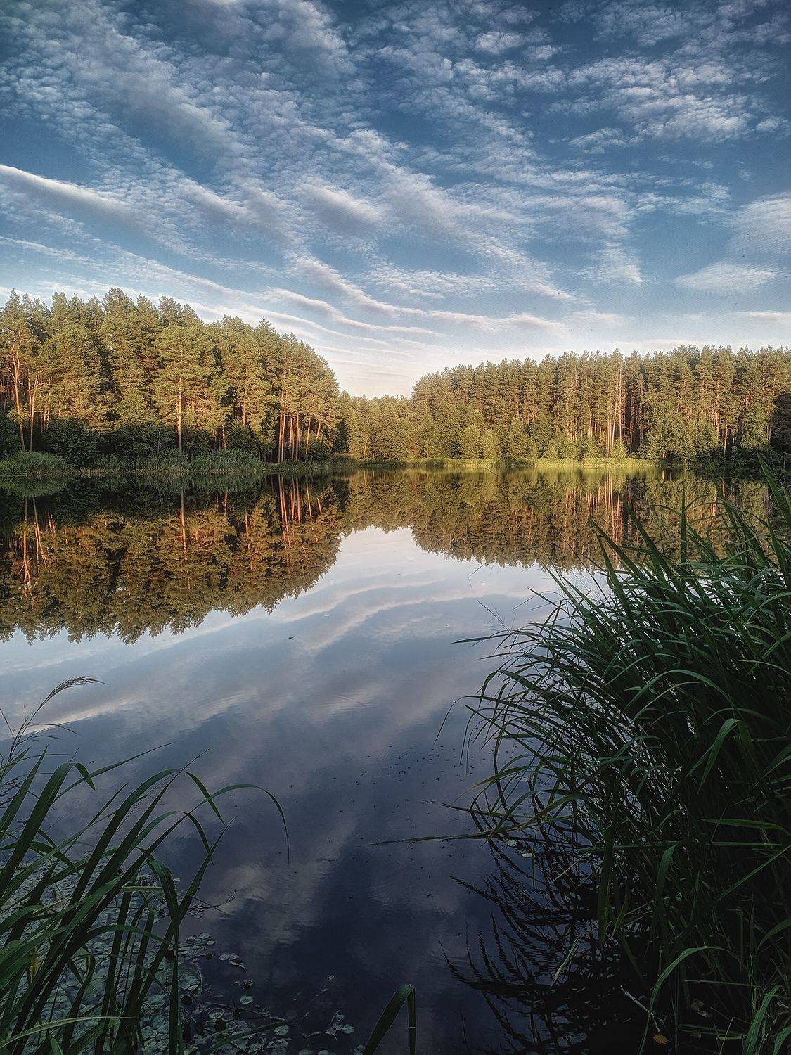 украина, коростышев, первое озеро, пейзаж, сентябрь, тишина, гармония, облака, юность, жизнь,, Александр Чорный