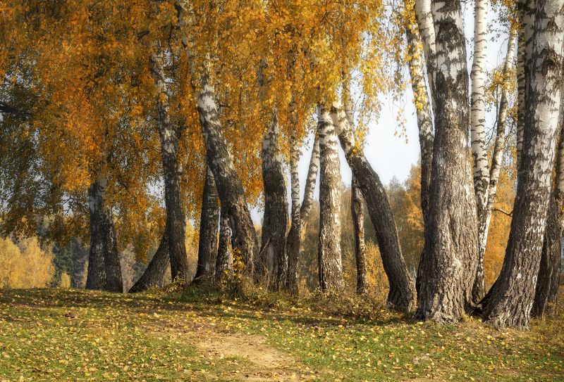 Октябрьская осень фото превью