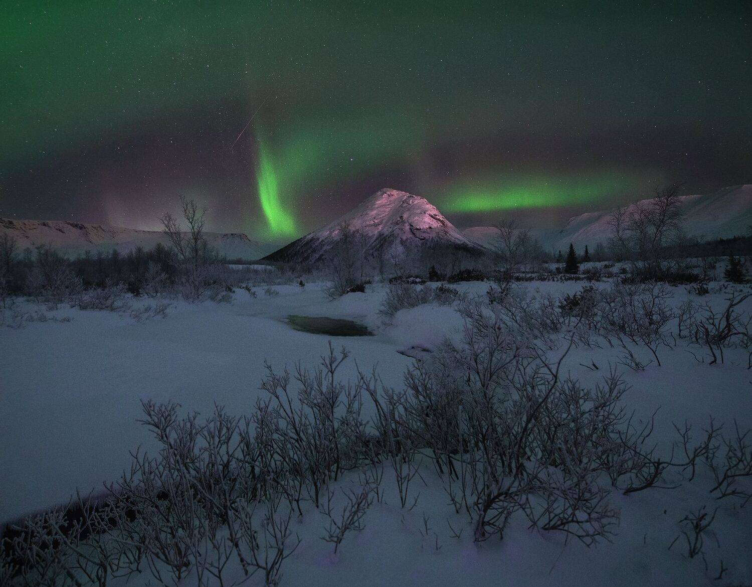 , Виталий Истомин