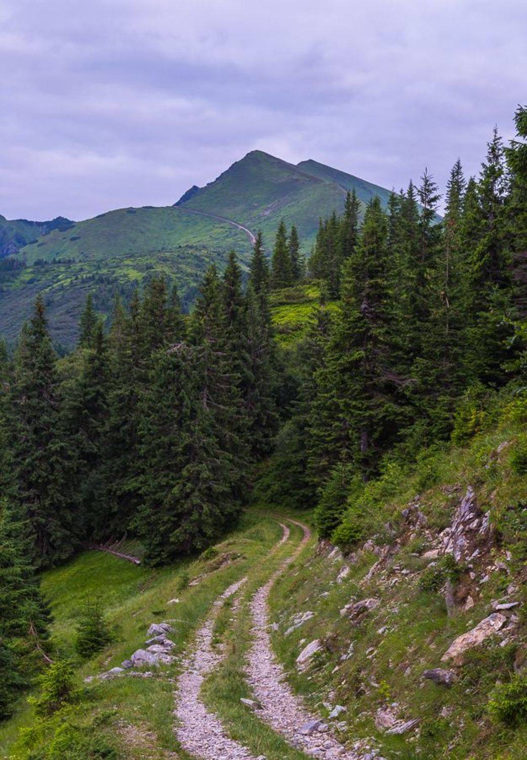 , Александр Подрез