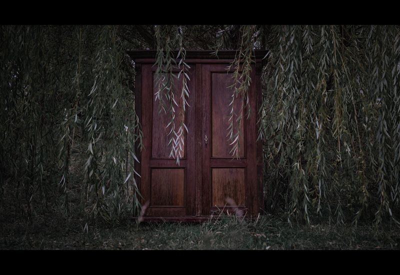 art, , story, , cinematic, ,  girl, , model, , portrait, , beauty, , hair, , autumn An Autumn Story фото превью