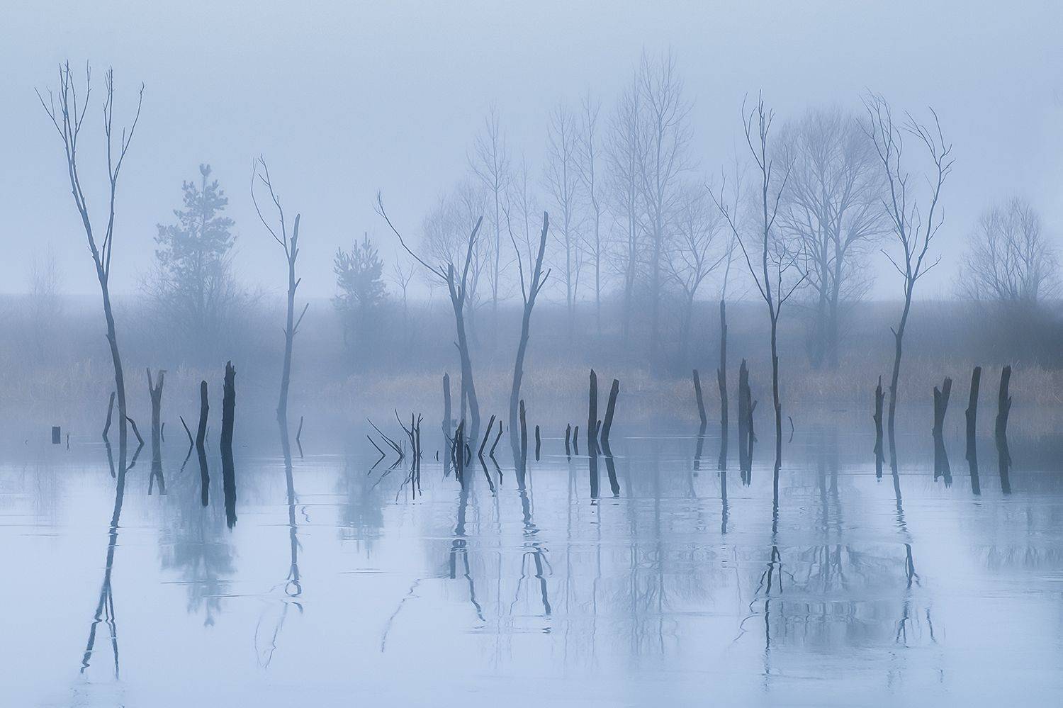 , Игорь Кляхин