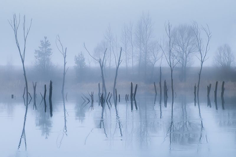 Туман фото превью