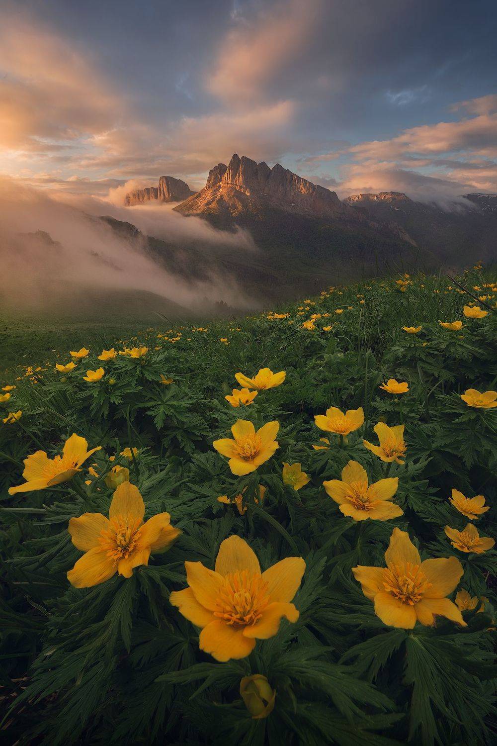 #большой, #тхач, #ачешбоки, #кавказ, #фототропы, Бахышев Сафар