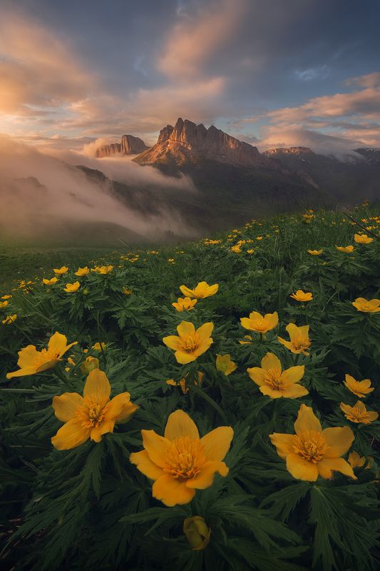 #большой, #тхач, #ачешбоки, #кавказ, #фототропы Западный Кавказ фото превью