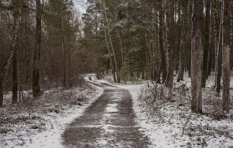первый... фото превью